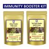 IMMUNITY BOOSTER KIT ( GILOYA POWDER 250G + TULSI PATRA POWDER 250G )