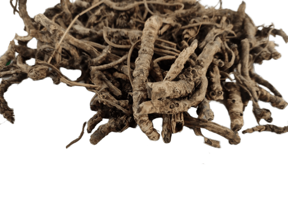 Kutki – Another magical ayurvedic herb!