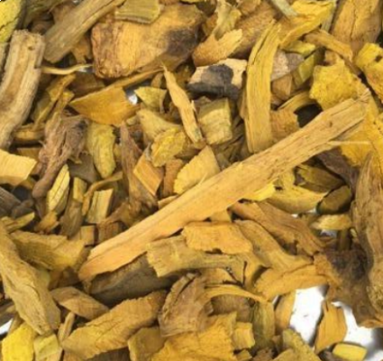 Daruhaldi and its numerous health benefits.
