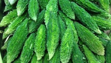 Bitter Gourd and its various benefits for health…