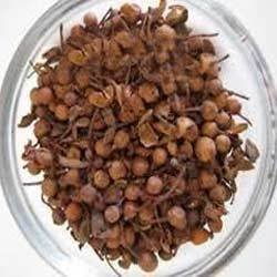 Nagkesar- Miraculous Evergreen herb