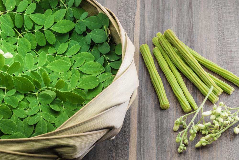 Moringa Powder and its health benefits