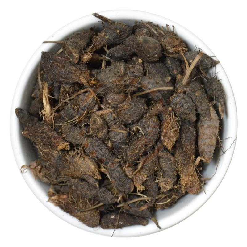 Nagarmotha powder and its numerous health benefits